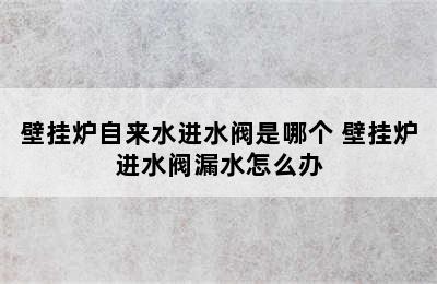 壁挂炉自来水进水阀是哪个 壁挂炉进水阀漏水怎么办